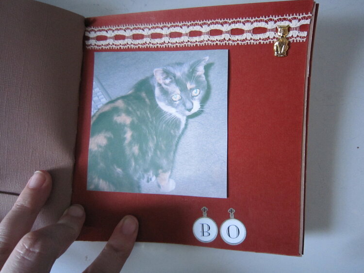 cat mini book page 6