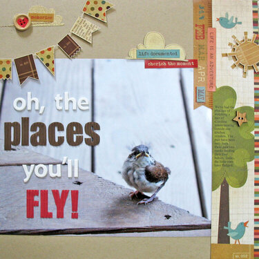 Oh, the Places You&#039;ll Fly!