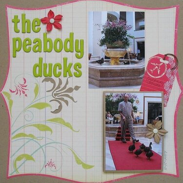 The Peabody Ducks