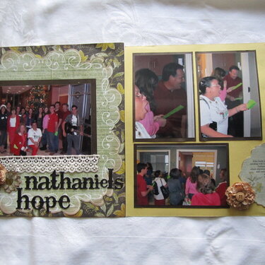 Nathaniels Hope
