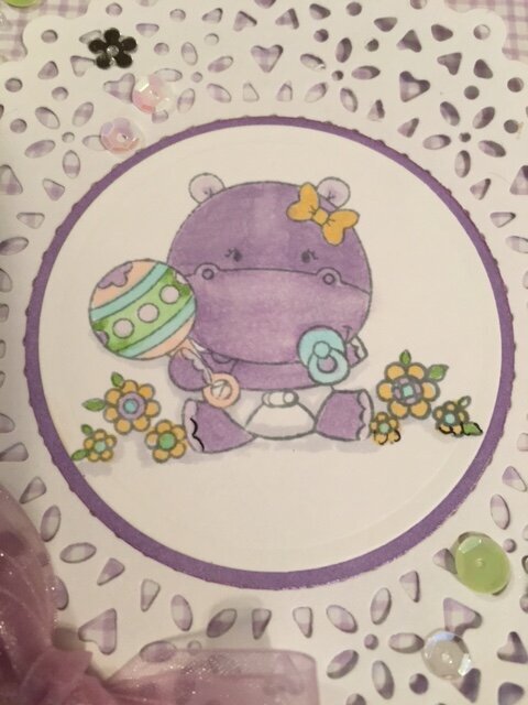 Baby Hippo Card