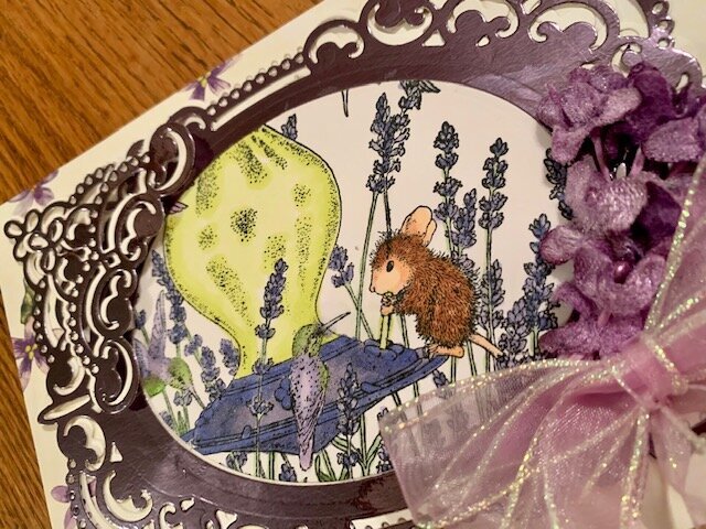 House Mouse Hummingbirds and Lavender