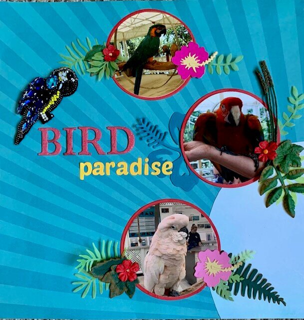 Bird Paradise Layout