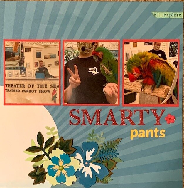 Smarty Pants Bird Layout