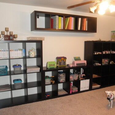 new shelves