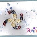 PEACE TRAIN