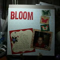 Bloom