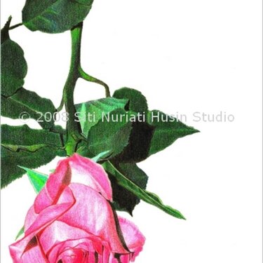 Printed Card - Pink Rose