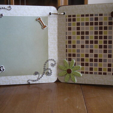 Dog Mini Album