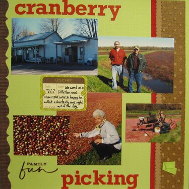 Cranberry Picking