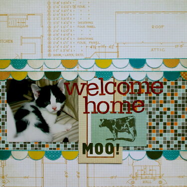 Welcome Home Moo!