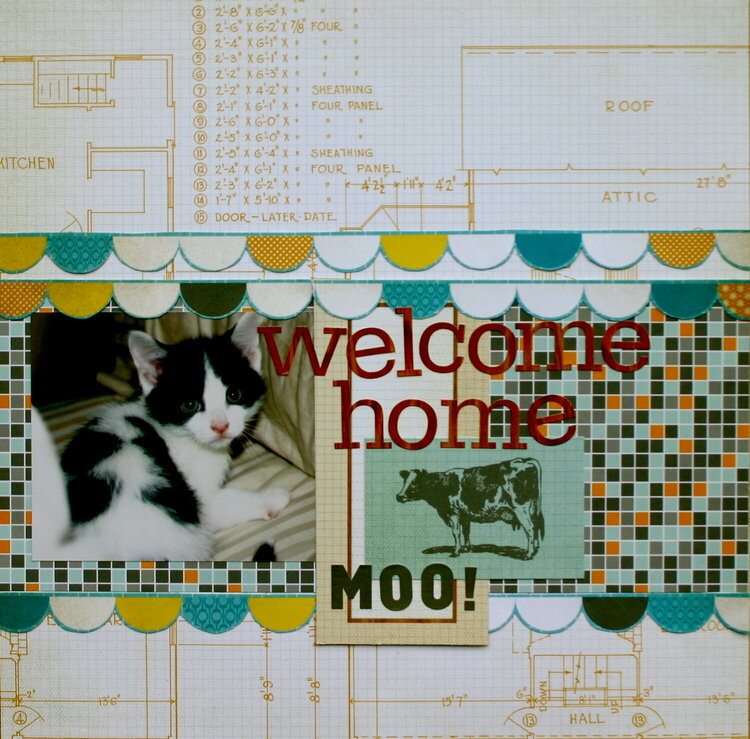 Welcome Home Moo!