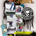 get gnarly - dare 161 (skateboard graphics)