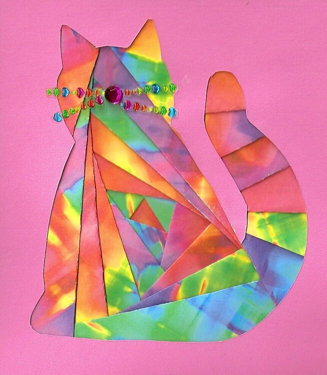 Iris folded &#039;Rainbow kitty&#039;