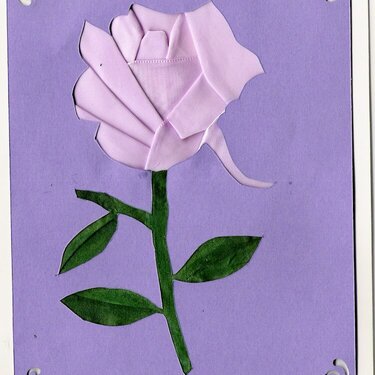 Lilac satin rose card.