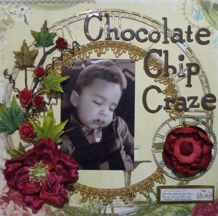 Chocolate Chip Craze