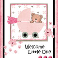 Welcome Little One_Girl