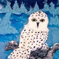 SNOW OWL ON LIMB