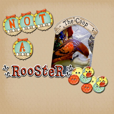 Rooster &quot;Egg Factory&quot; Kit by &quot;Steadfast and Immovable&quot; blogspot