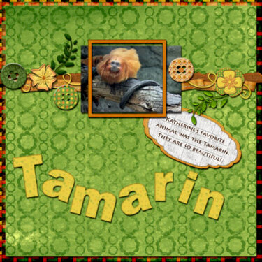 Tamarin