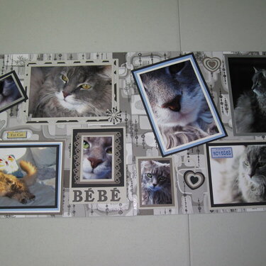My 3rd layout ever...My cat Bebe....My new punches...Yeah