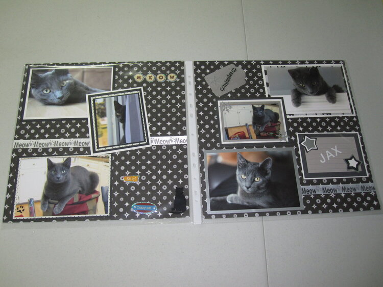 My first layout EVER....Our cat Jax.