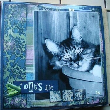 A Cat's Life *Basic Grey*