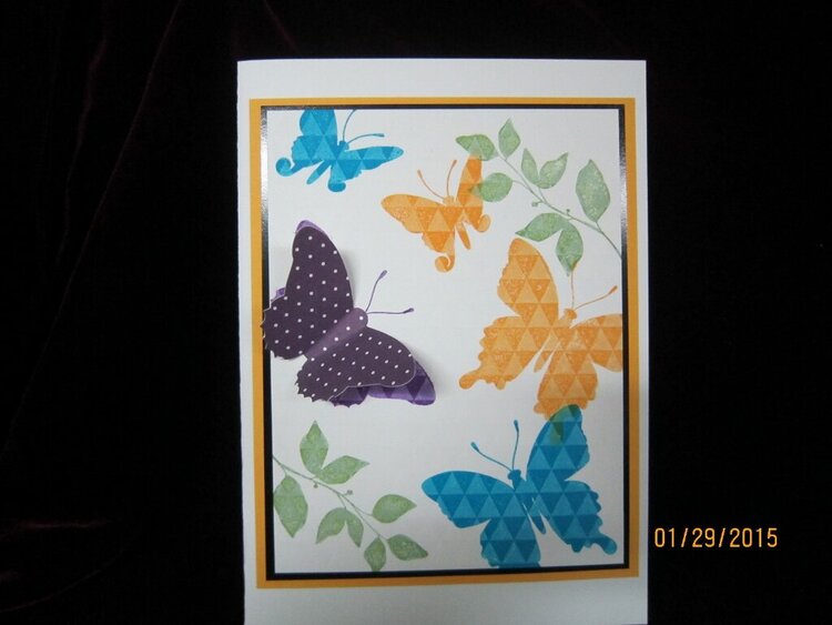 Butterfly Resist Card
