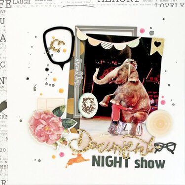 Night show