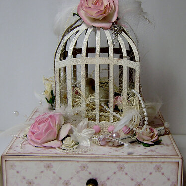 Birdcage with drawer
