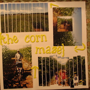 The Corn maze