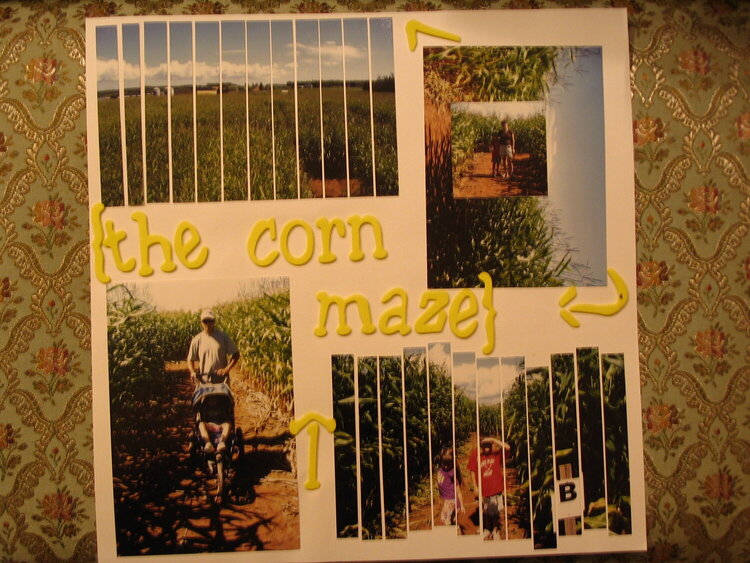 The Corn maze