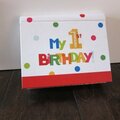 Boy 1st bday mini