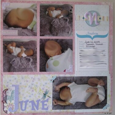 Baby Girl Album- Newborn -12m Pages