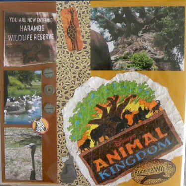 Favorites @ Animal Kingdom