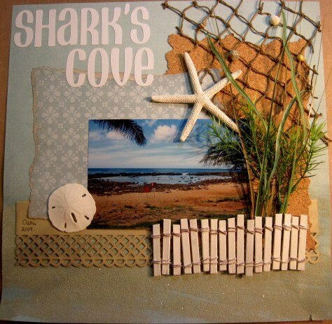 Shark&#039;s Cove