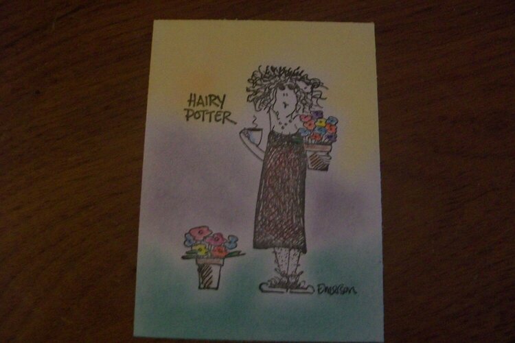 Hary Potter