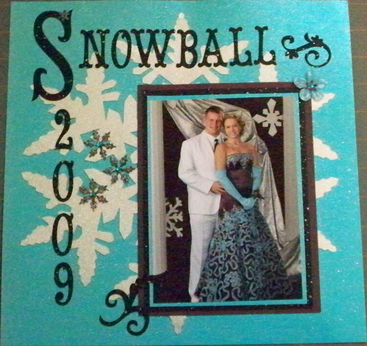 Snowball 2009