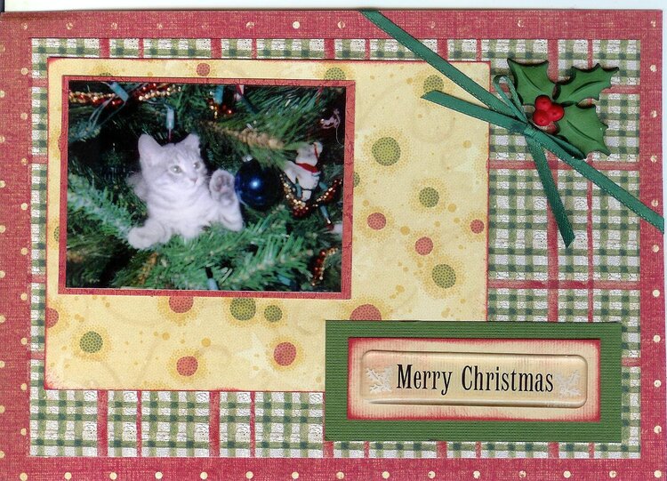Kitten in Christmas Tree