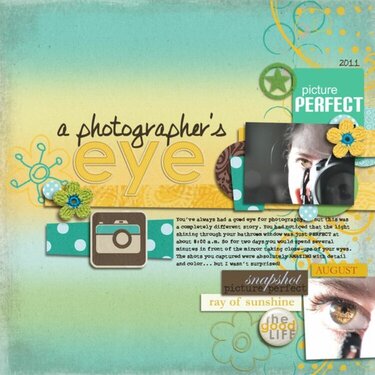 Photographer&#039;s Eye