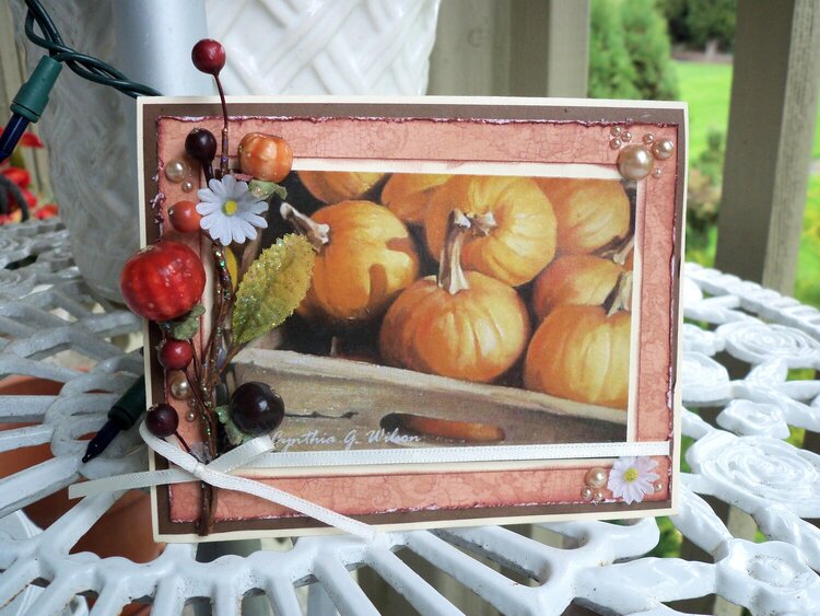 Pumpkin Pumpkin Card front