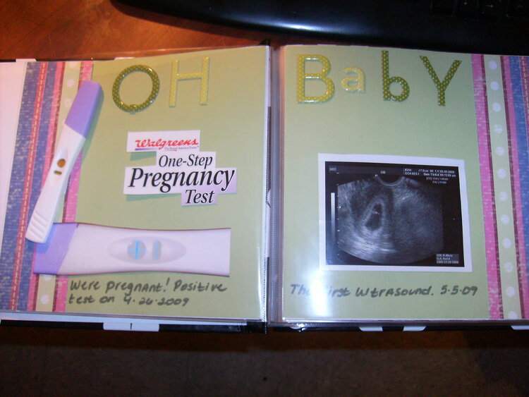 Pregnancy Album - the test