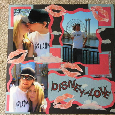 Disneyland Honeymoon 2007