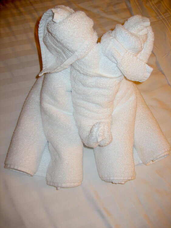 Towel Animal