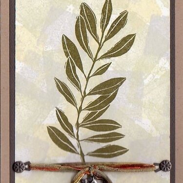 Olive Branch