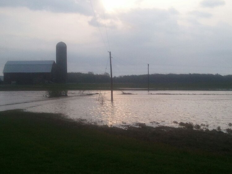 Flooding 2012 - driveway