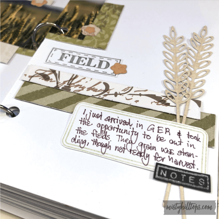 Field Notes