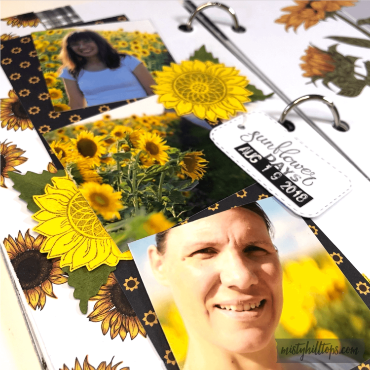 Sunflower Field