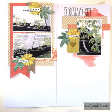 Tomatoes (Traveler's Notebook)
