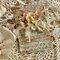 Shabby card